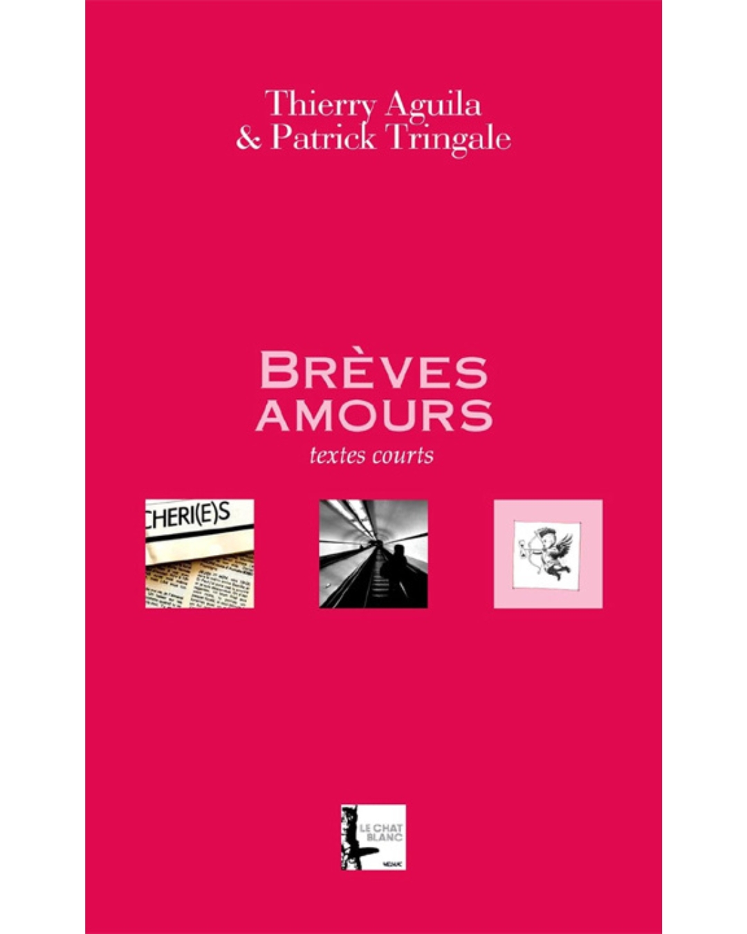 couverture brèves amours thierry aguila patrick tringale